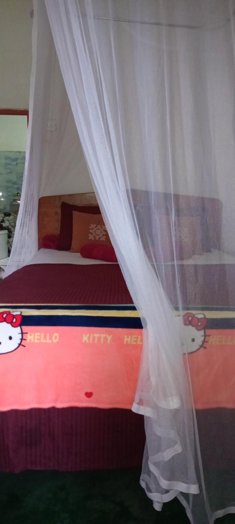 Appartamento Dream Nest Ella Esterno foto