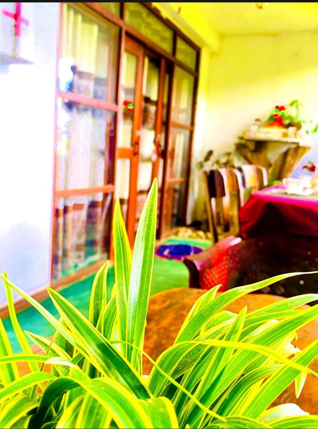 Appartamento Dream Nest Ella Esterno foto